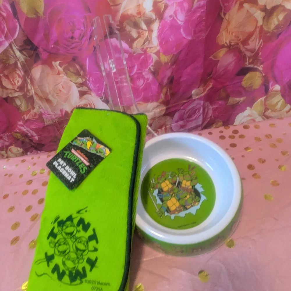 Nickelodeon Green Dog Bowl with Ninja Turtles Design